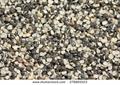 black lentil ، black matpe bean